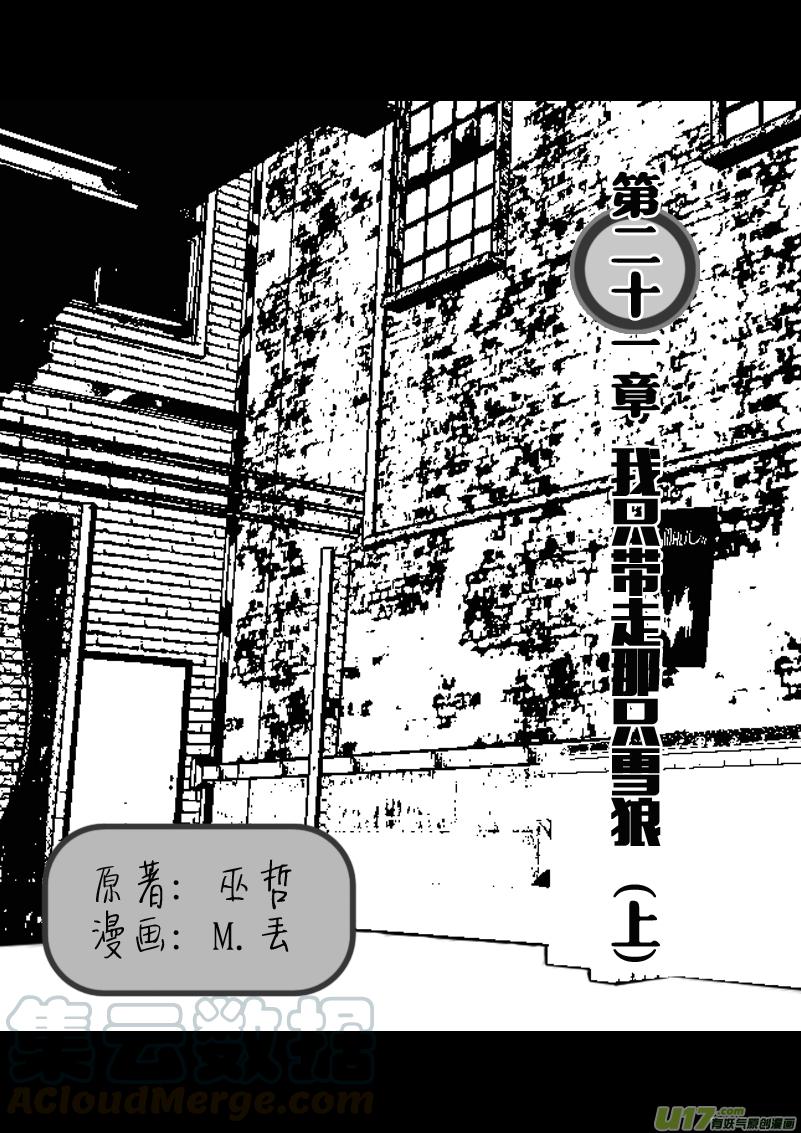 我只带走那只雪狼 （上）0