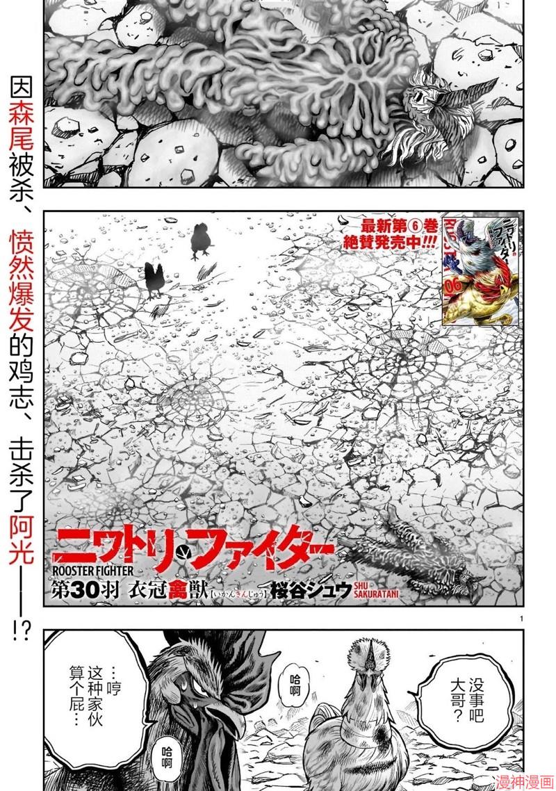 第30话1
