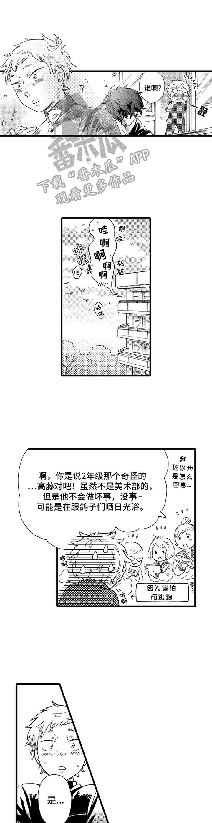 第13章： 鸽子2