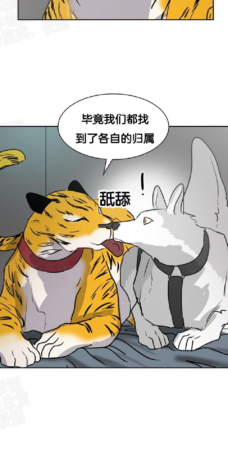 第28话2