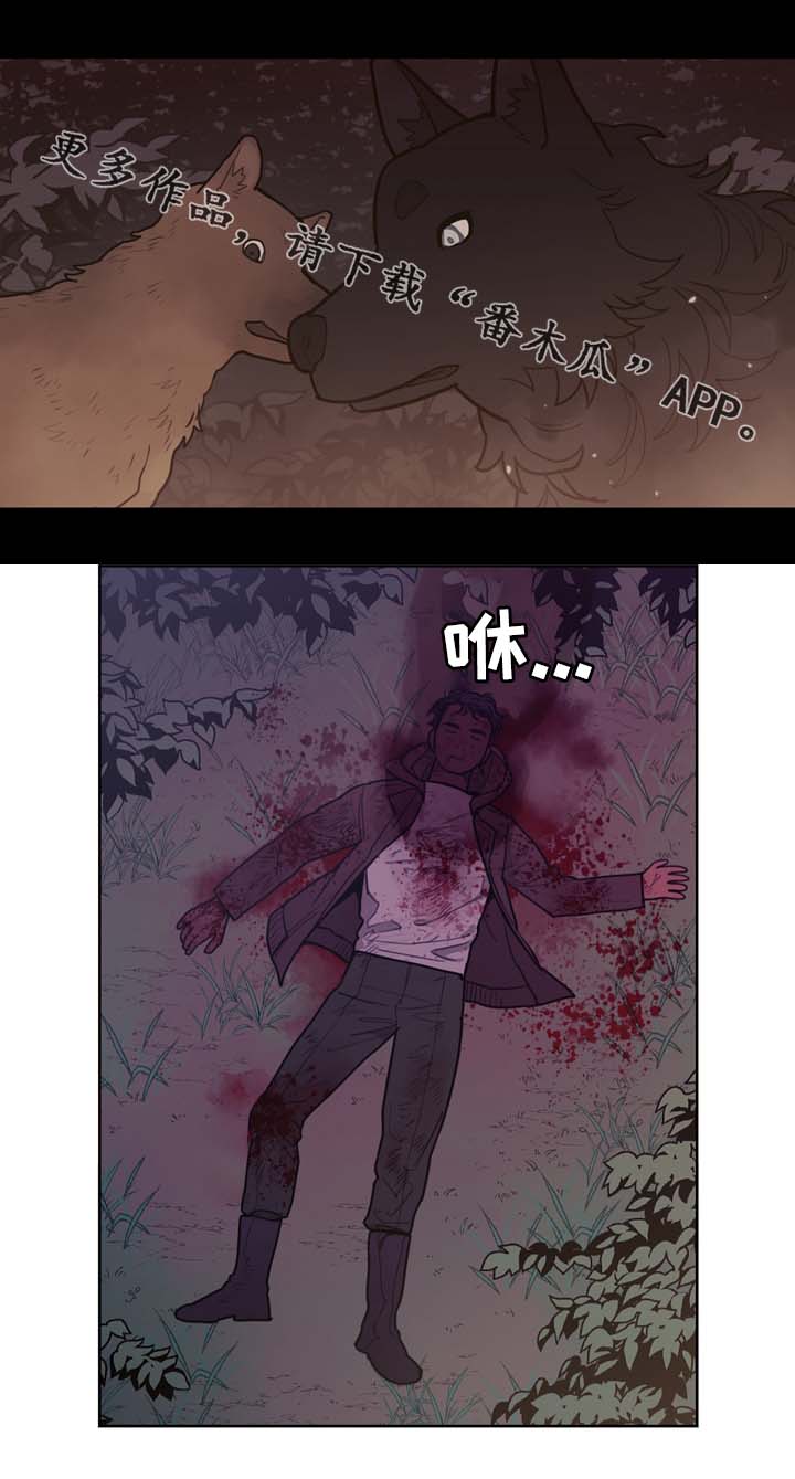 第62章：配角2