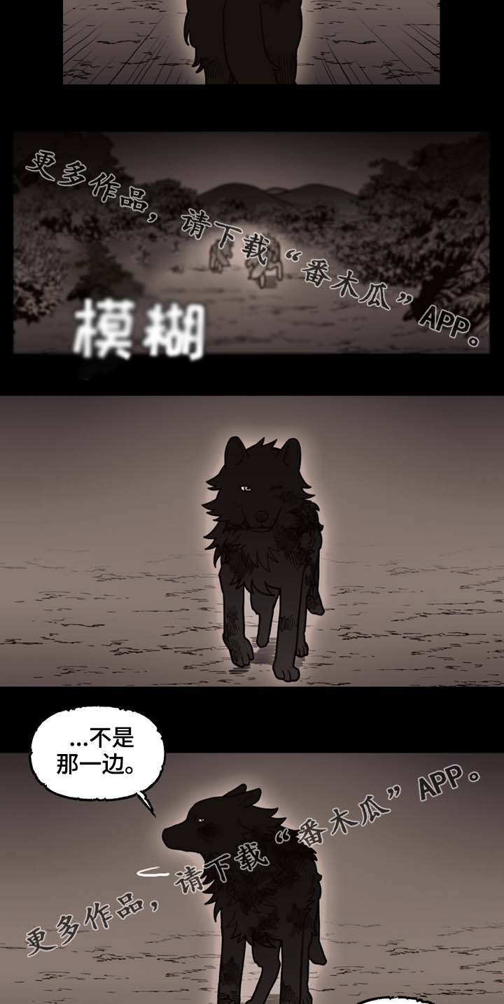 第69章：狼王的诅咒4
