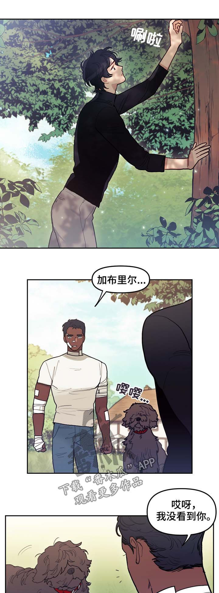 第113章：互相释怀2