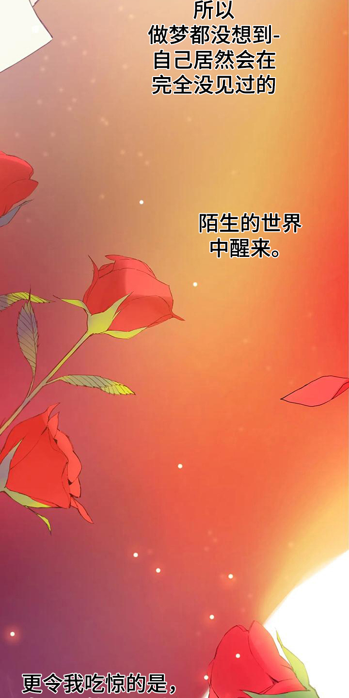 第1章：身份2