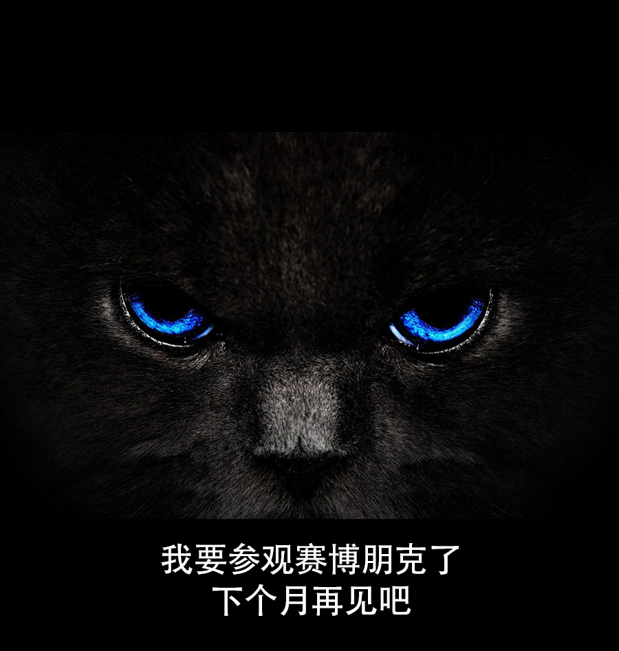 第44回1