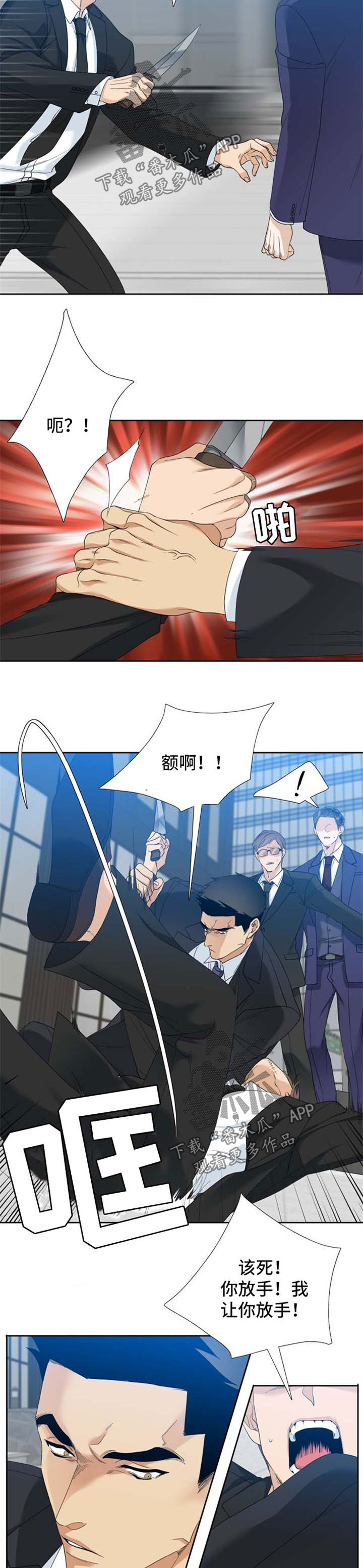 第33章：刺杀4