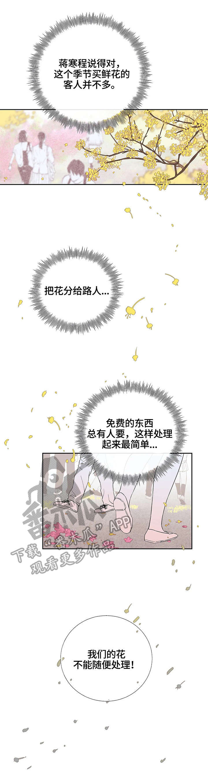 第23章：干花0