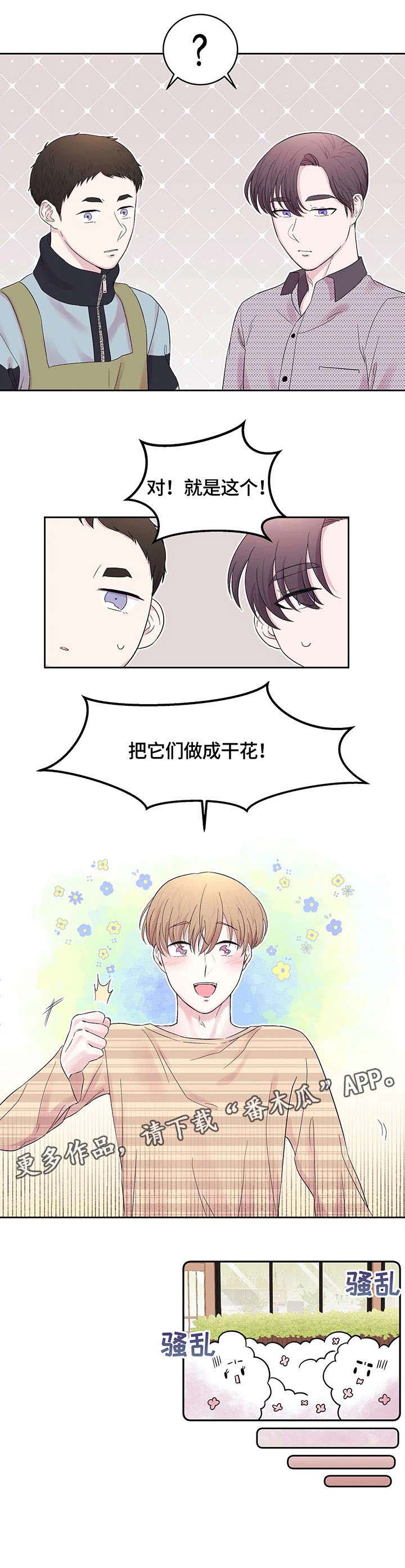 第23章：干花3