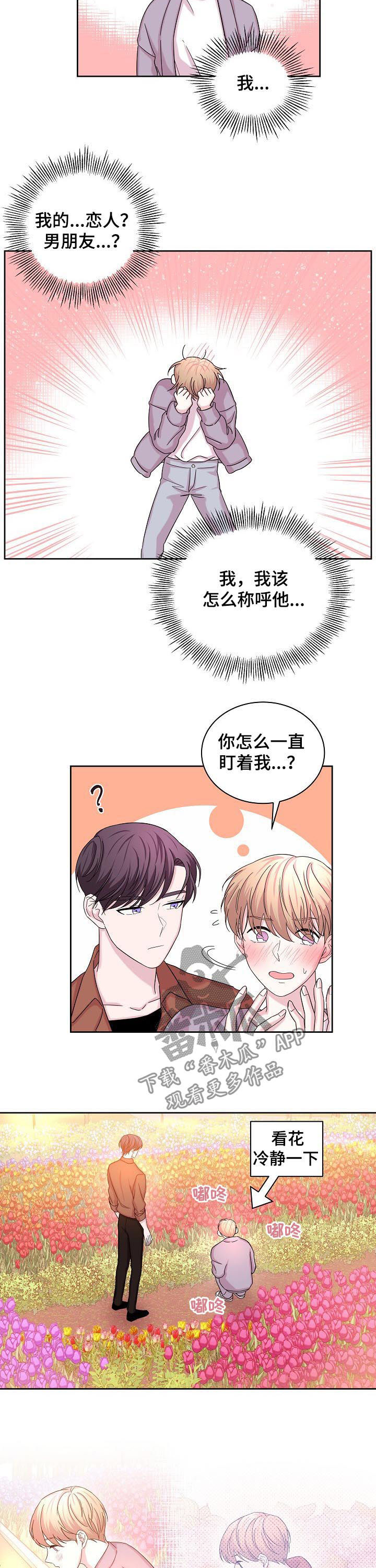 第61章：花海3