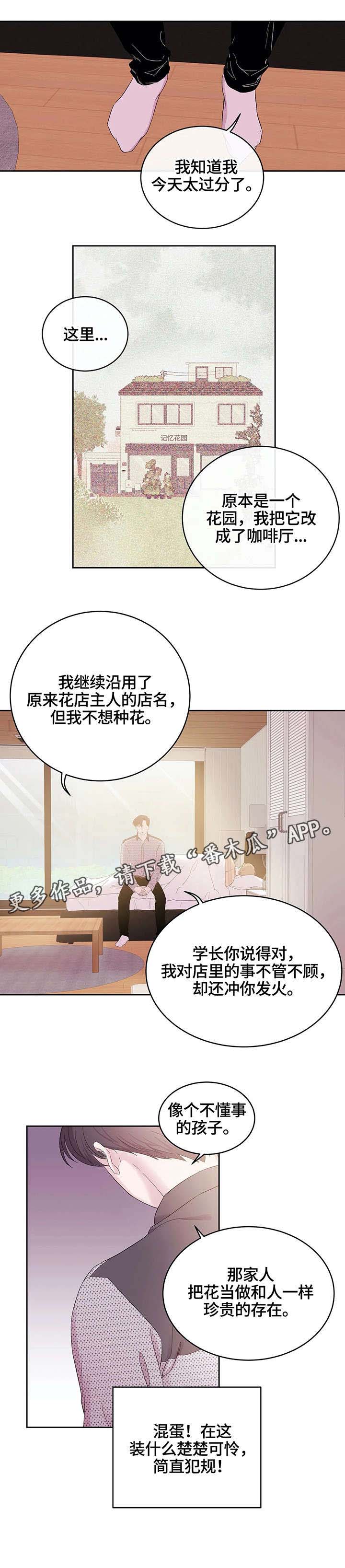 第22章：满天星3