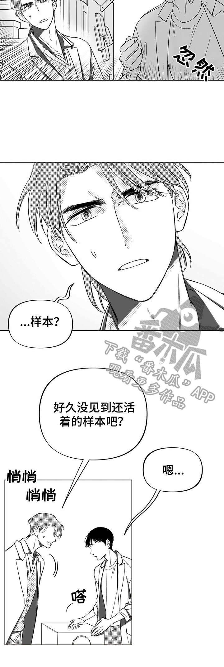 第4章：昆虫2