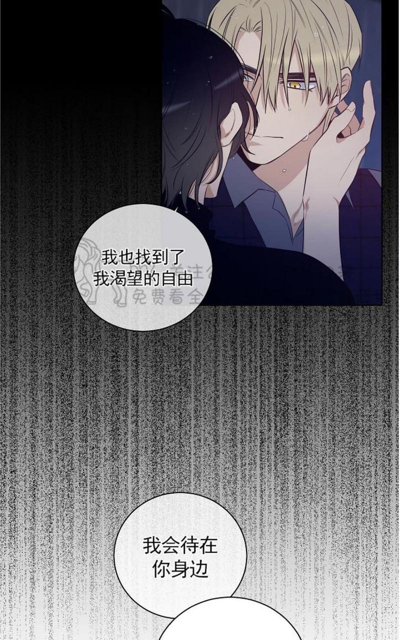 第34话完结1