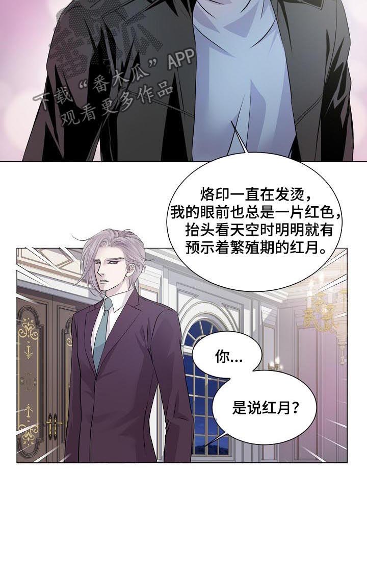 第151章：觉悟3