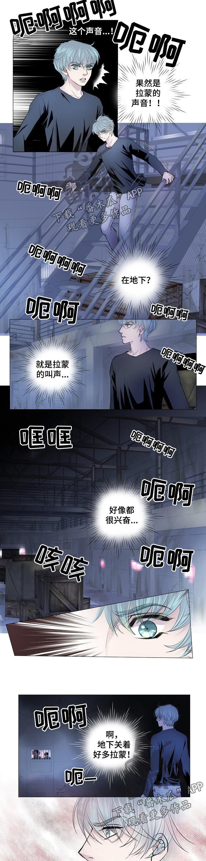 第146章：互相残杀4