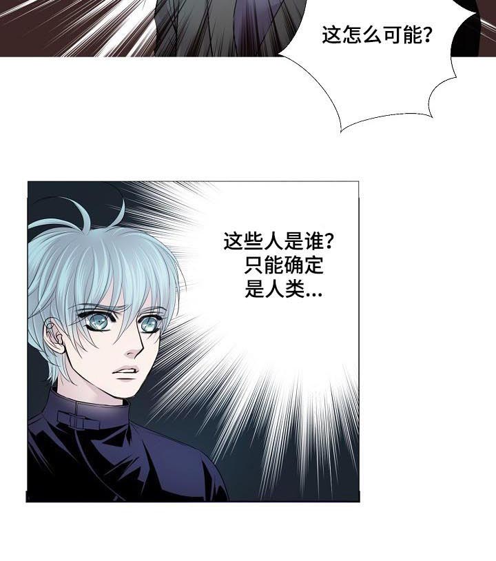 第143章：密谋3