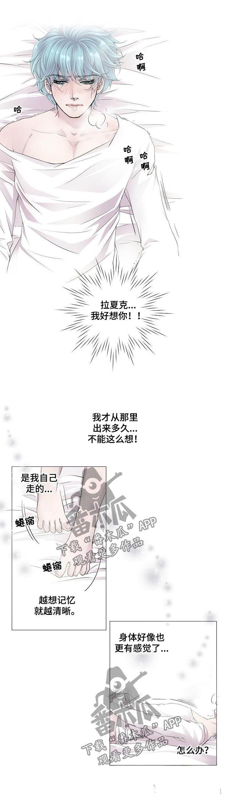 第117章：求情0