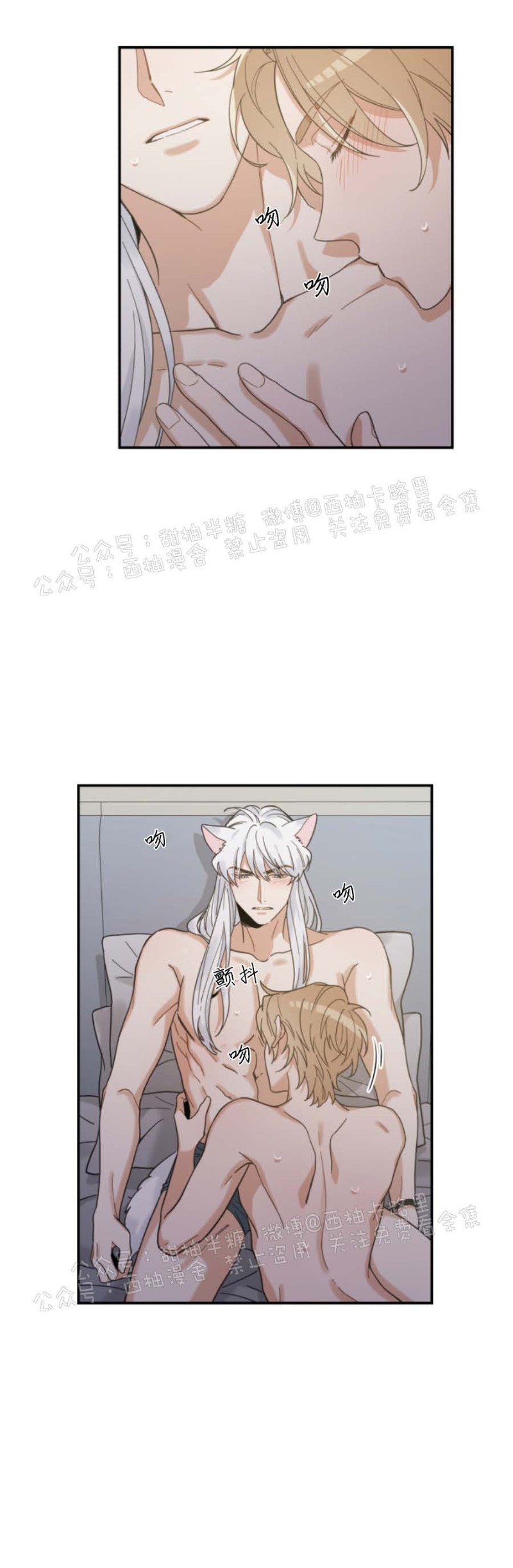 第31话3