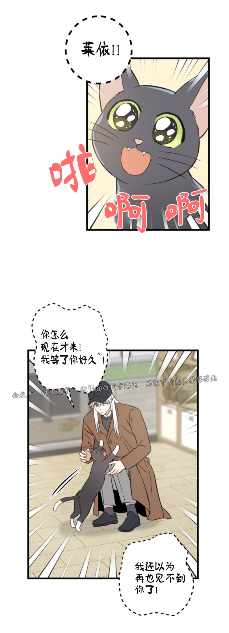 第46话4