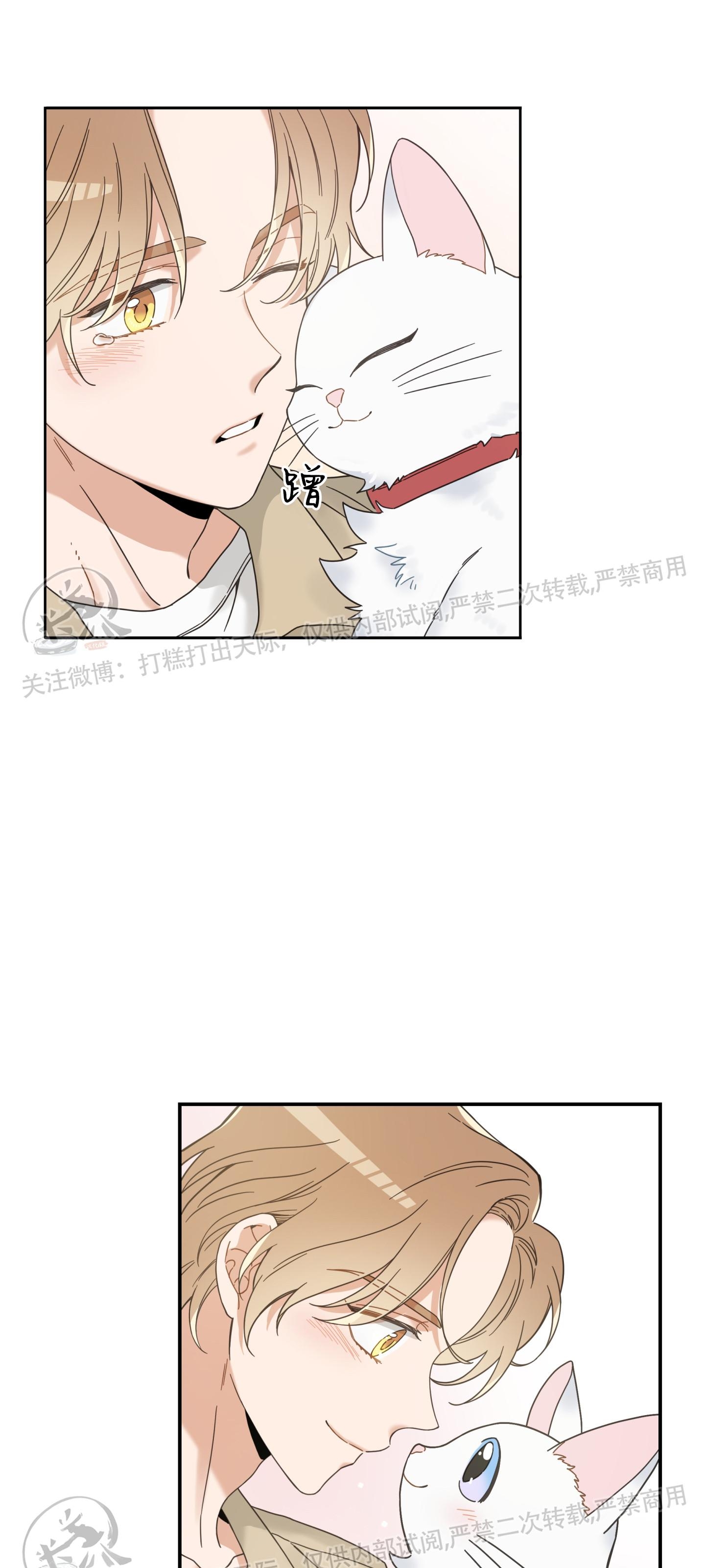 第63话0