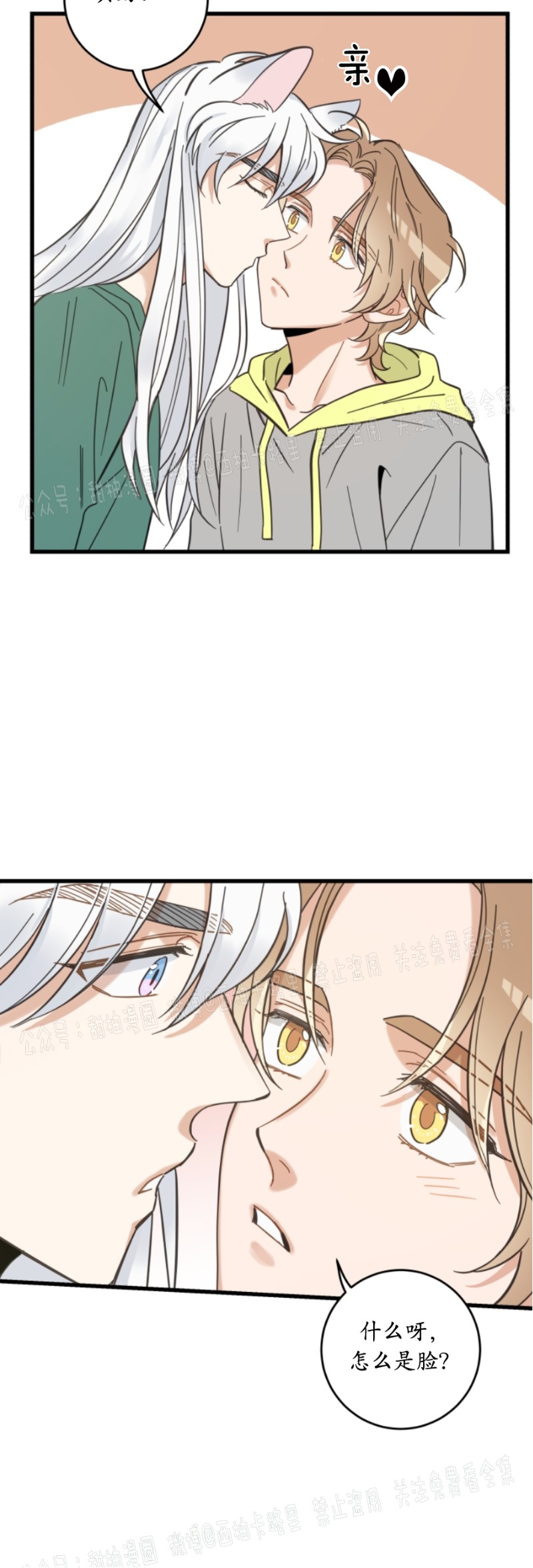 第40话3