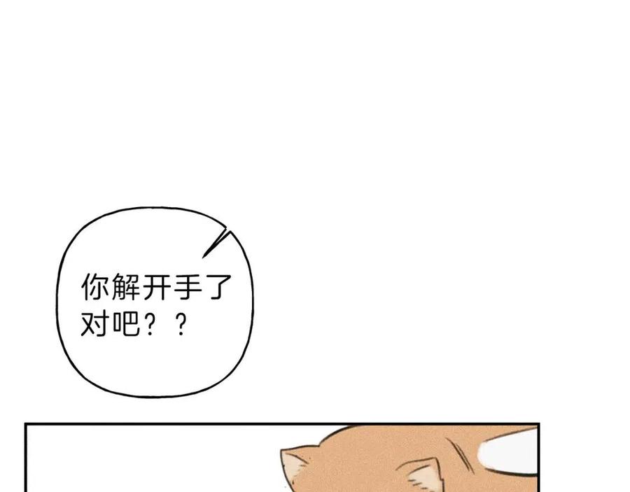 第66话 兔子装如何？3