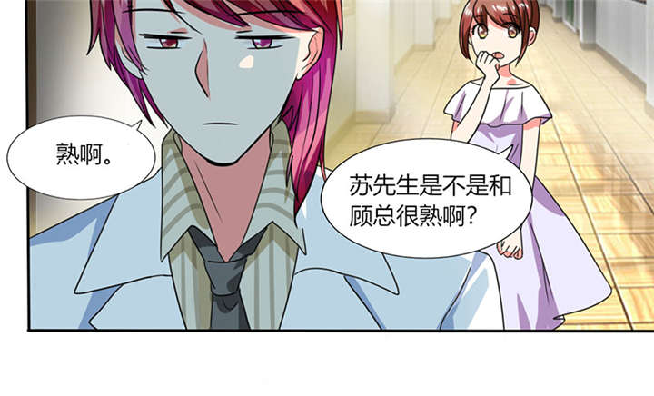 第19章：苏先生的过往1