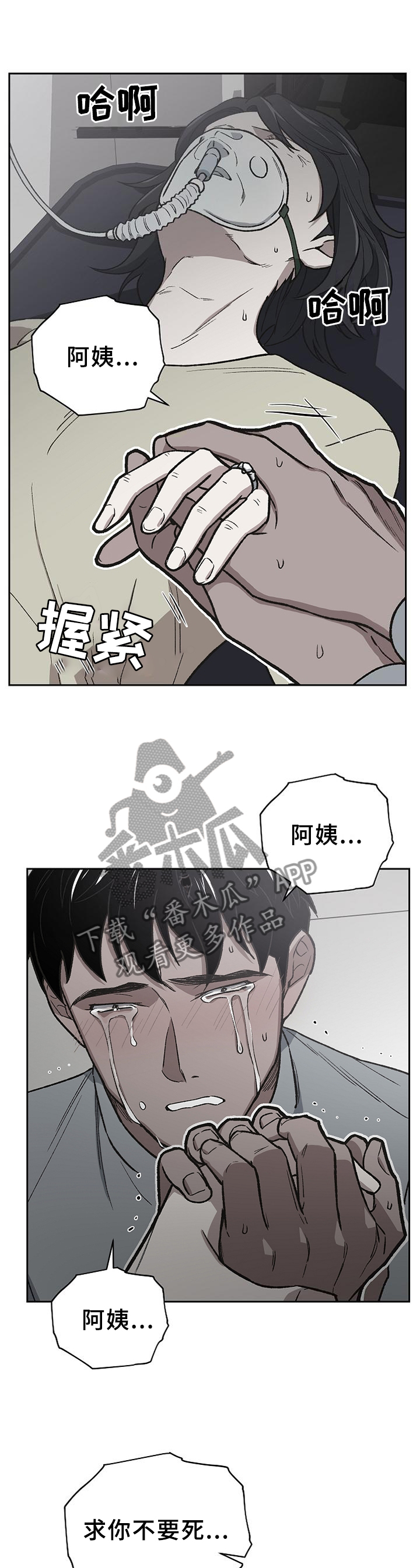 第50章：亲弟弟0