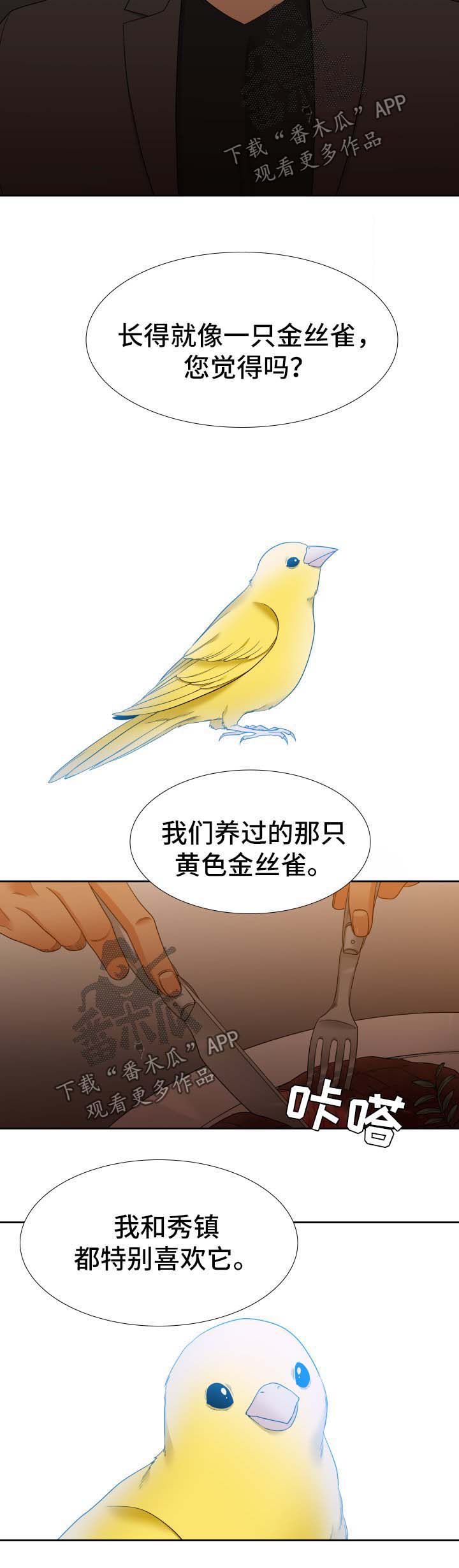 第50章：金丝雀4