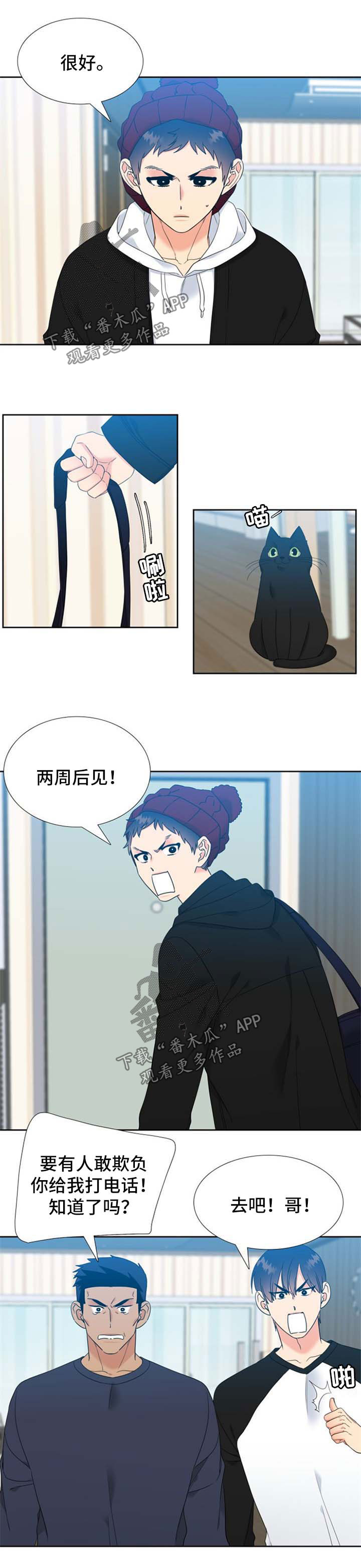 第98章：缘分0