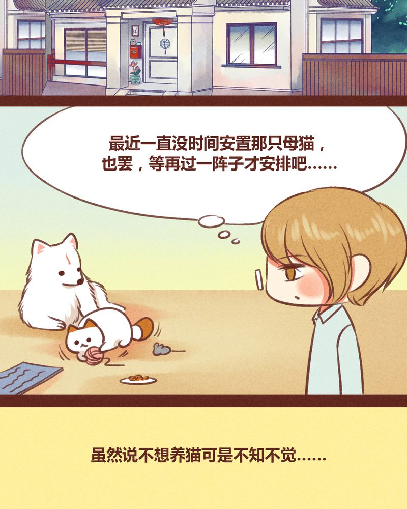 第31章：1