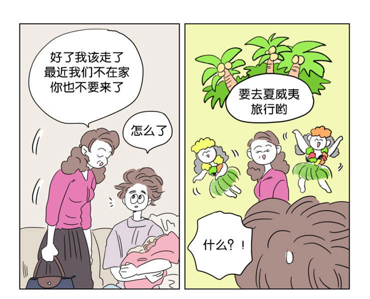 第40章：想法0