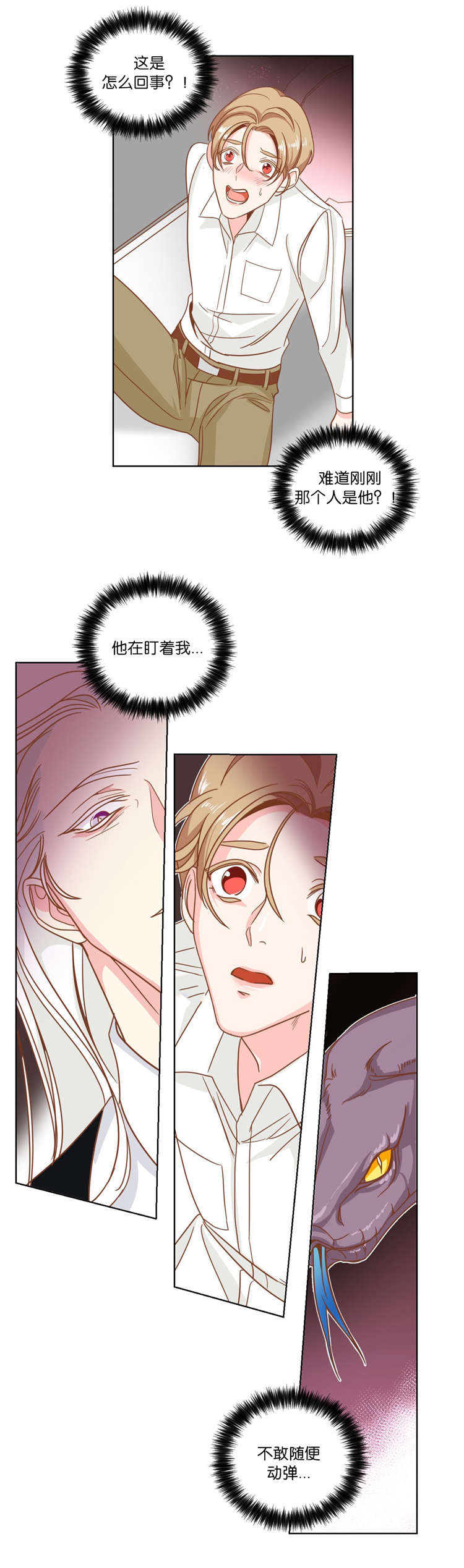 第12章：陪同0