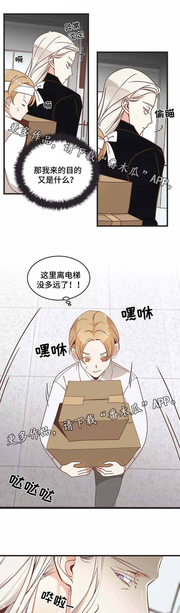 第81章：搬东西4