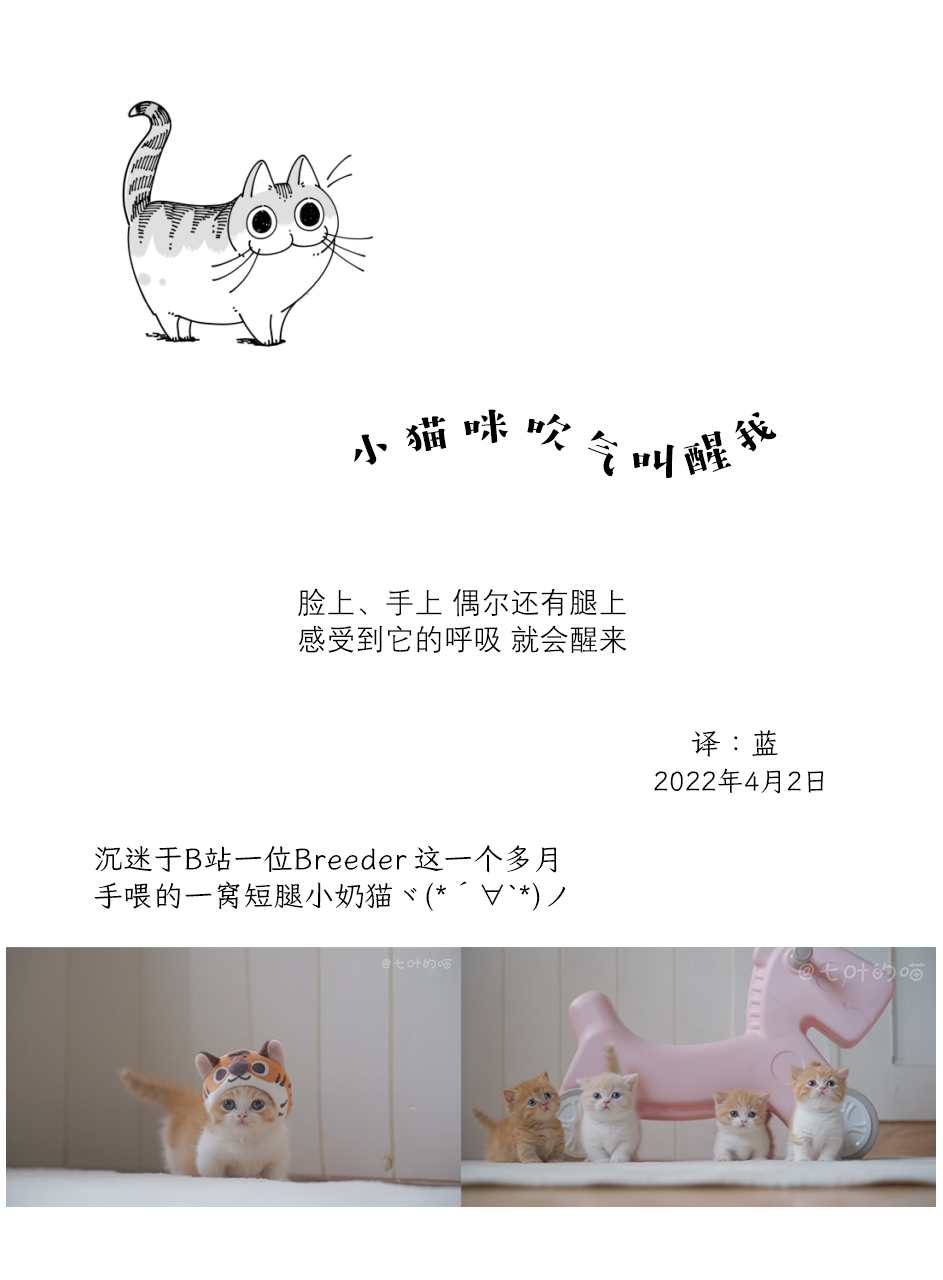 第110话2