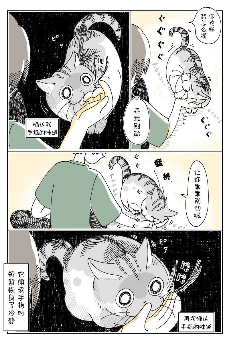 第130话1