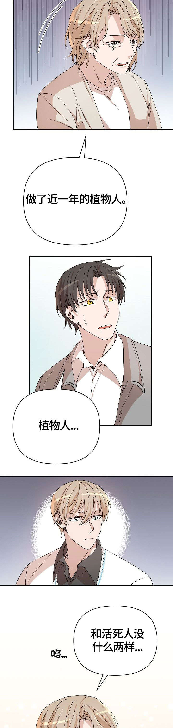 第30章：傻瓜4