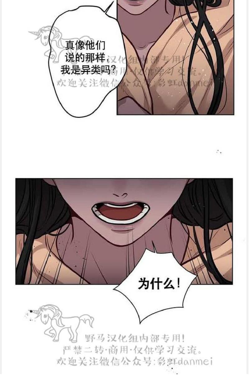 第19话3