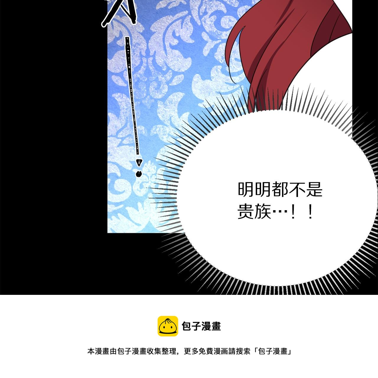 第111话 替代王妃4