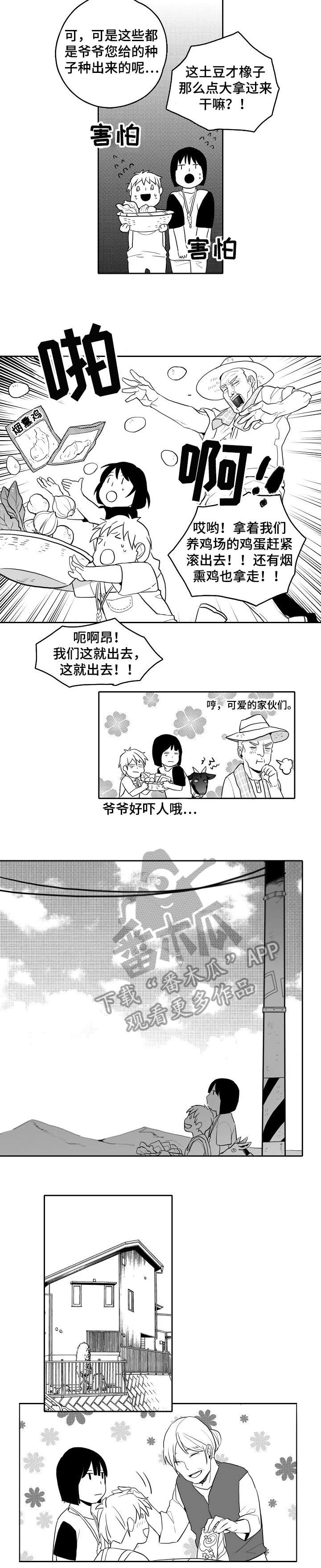 第18章：鸟4