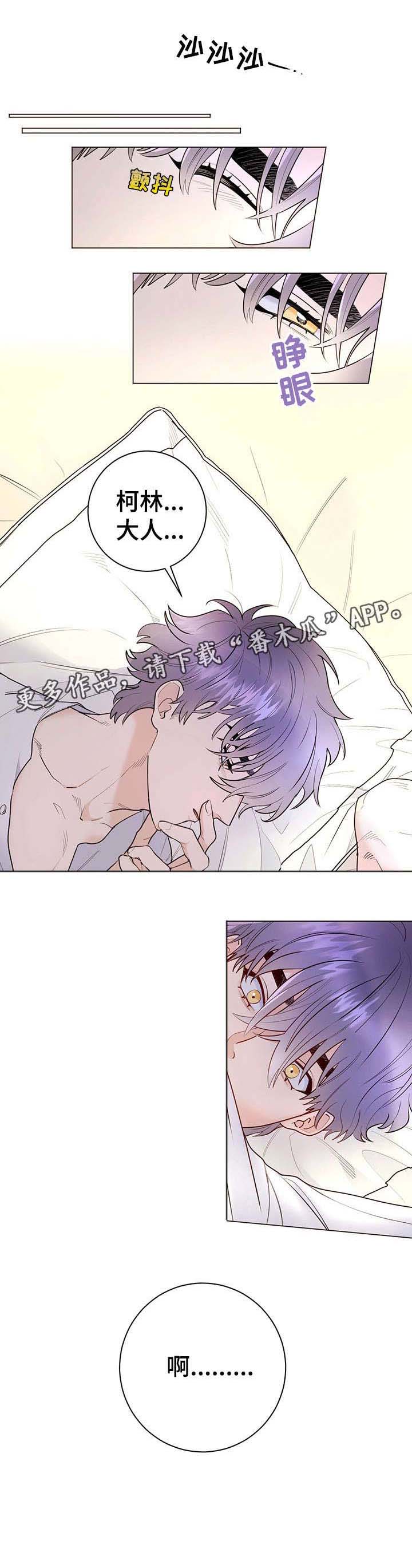 第15章：进来0