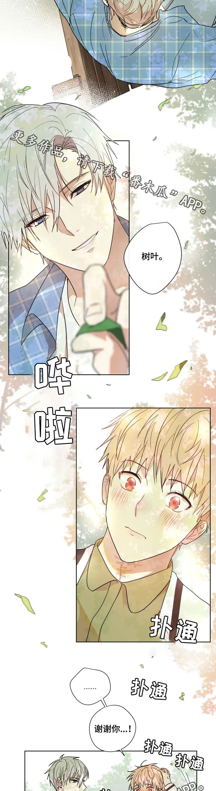 第31章：答案2