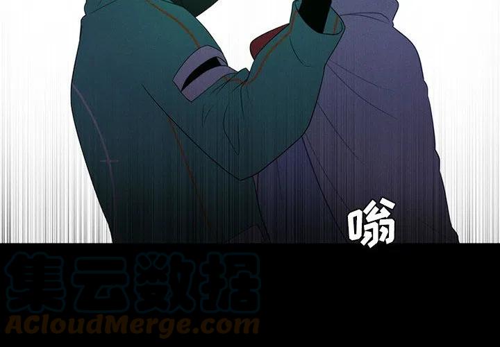 733