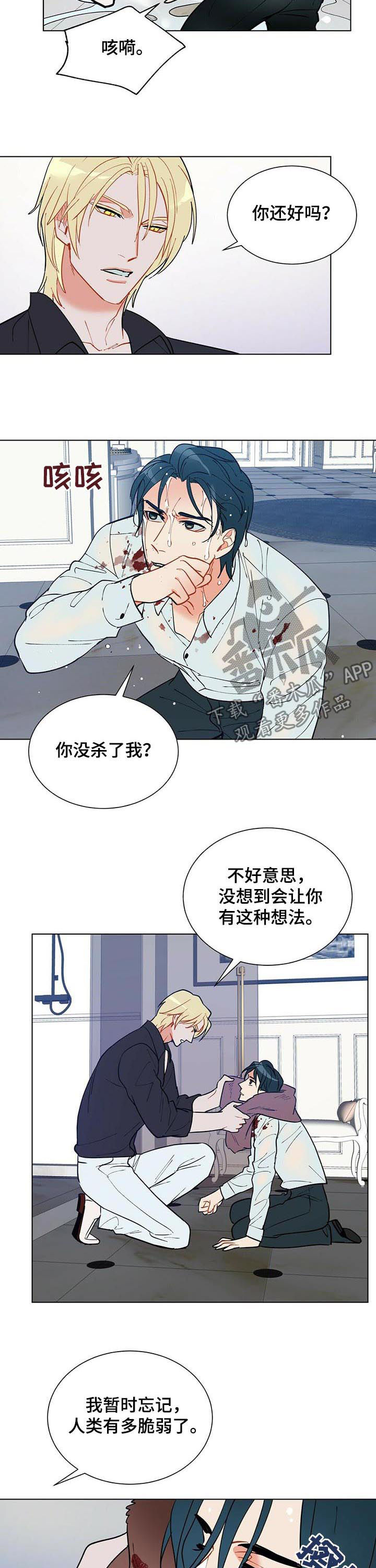 第51章：赶紧许愿1