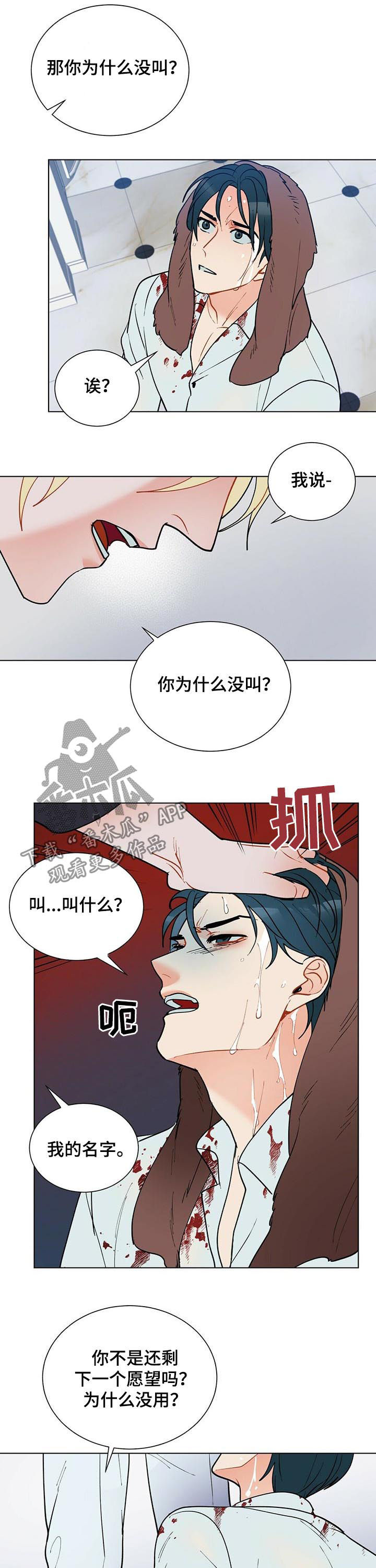 第51章：赶紧许愿4
