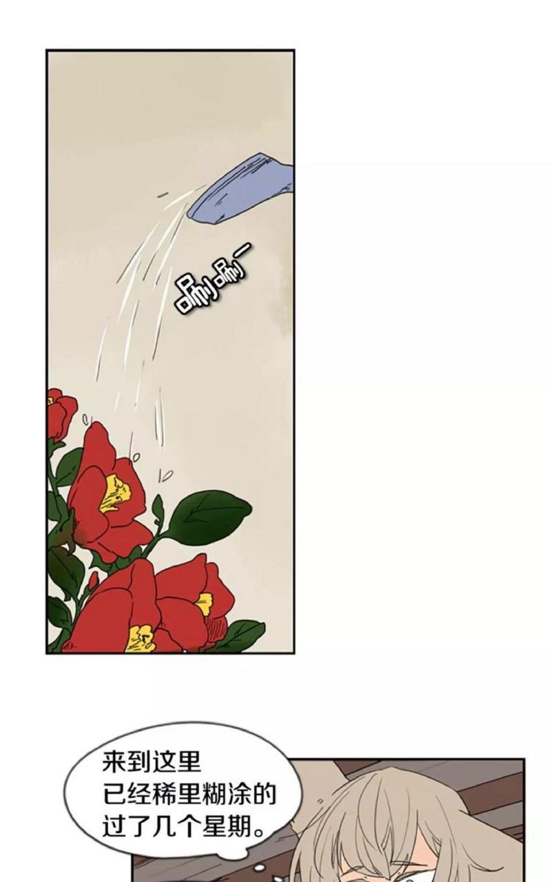 第56话0