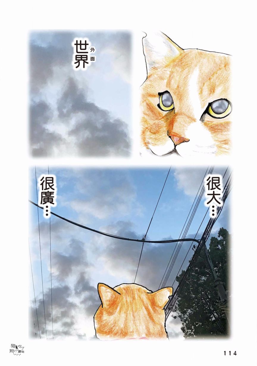 第120话3