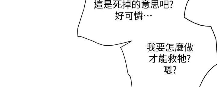 第60话0
