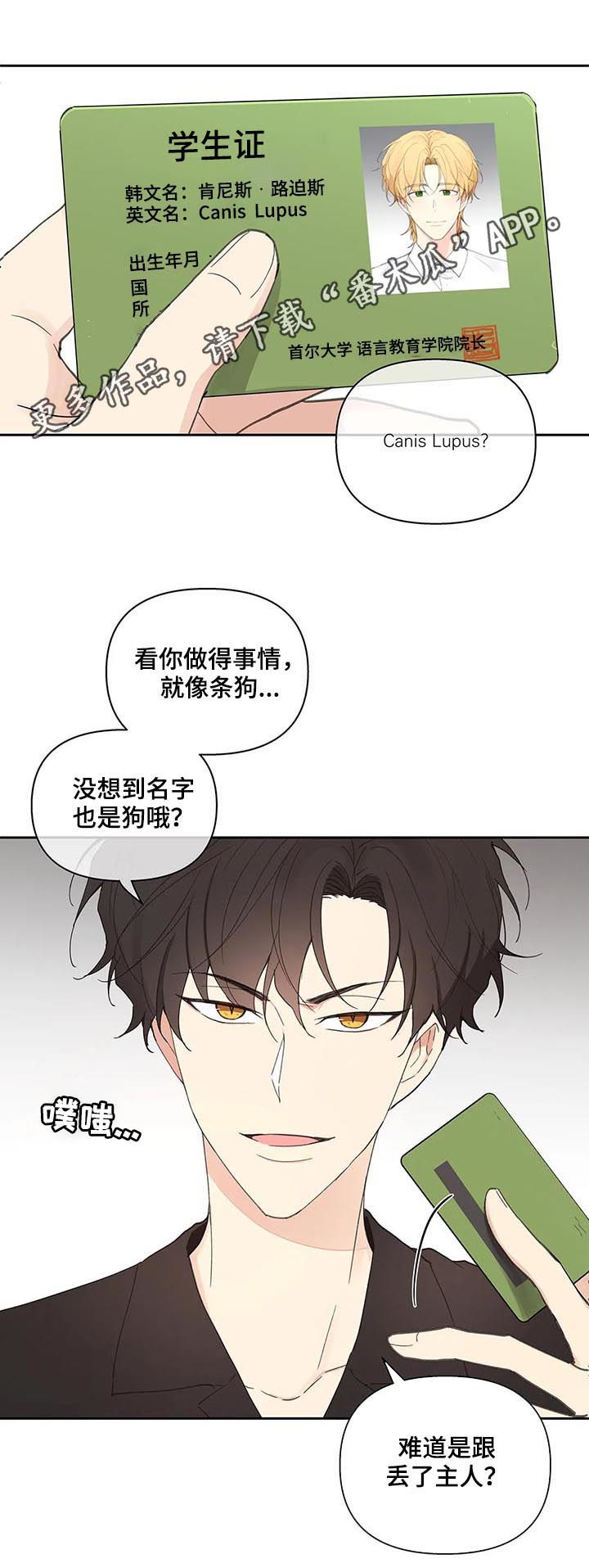 第51章：被骗了0