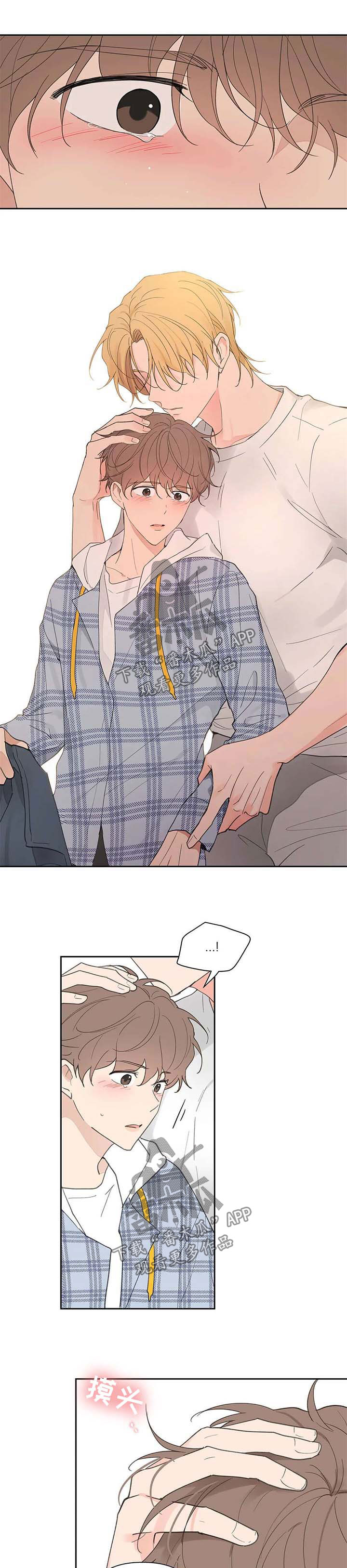 第74章：不能喜欢他0