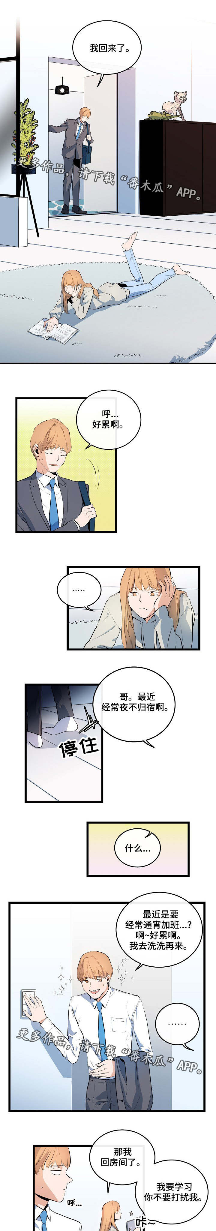 第19章：假装不懂3